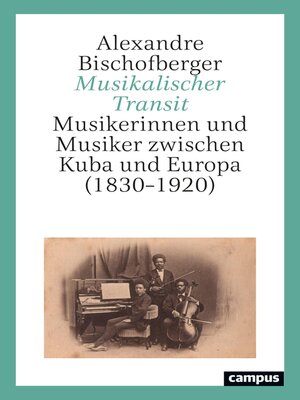 cover image of Karriere im Transit